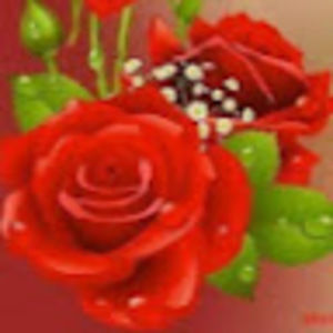 Meet your Posher, Sheila